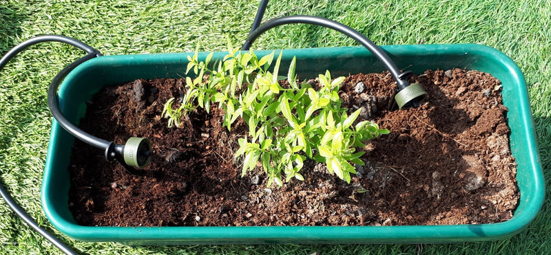 ערכת השקיה טפטוף לגינה להתקנה עצמית כולל טפטפות וצינורית
