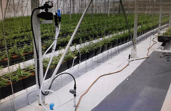 דישונית עמיעד 4-92 משאבת דשן הידראולית עבור מערכות השקיה